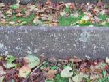 image of grave number 761791